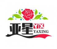 “通过更密切的合作实现共同发展繁荣”